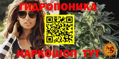 спайс Можга