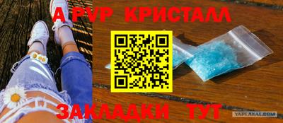 мяу мяу мука Моздок
