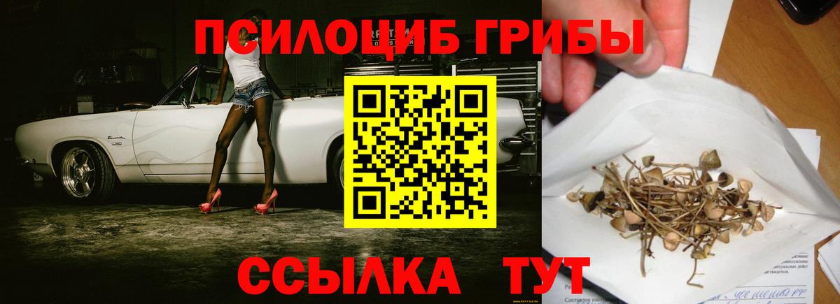 Холмск  Галлюциногенные грибы мицелий  Галлюциногенные грибы мицелий  Вход с VPN 
